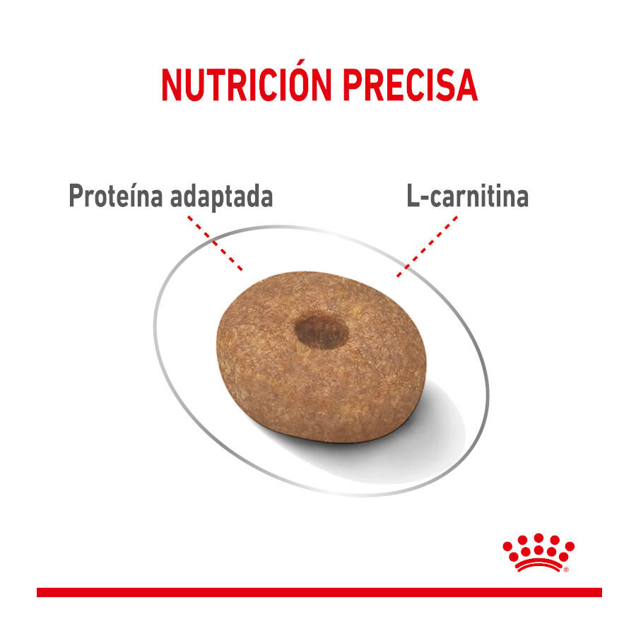 8 kg Royal Canin Mini Light Weight Care pienso para perros, , large indicador imagen numero 4